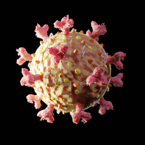 Coronavirus SARS-Co-V2 preview image